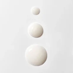 BABOR AMPOULE CONCENTRATES Active Night 14 Ml 11 BABOR AMPOULE CONCENTRATES Active Night 14 Ml -Babor 1416286 BABOR AMPOULE CONCENTRATES Active Night 14 ml.5cab0c55