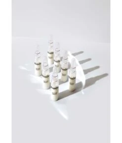 BABOR Ampoule Concentrates Active Night Ampullen -Babor babor ampoule concentrates active night ampullen 14 ml 4015165358718 visual2