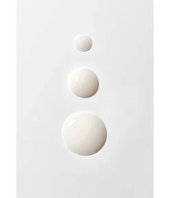 BABOR Ampoule Concentrates Active Night Ampullen -Babor babor ampoule concentrates active night ampullen 14 ml 4015165358718 visual3